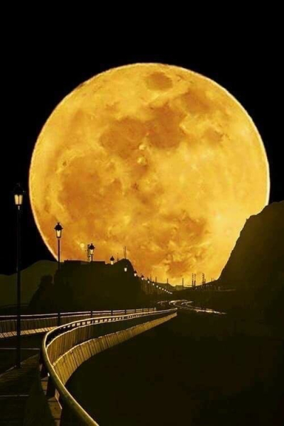 5119
