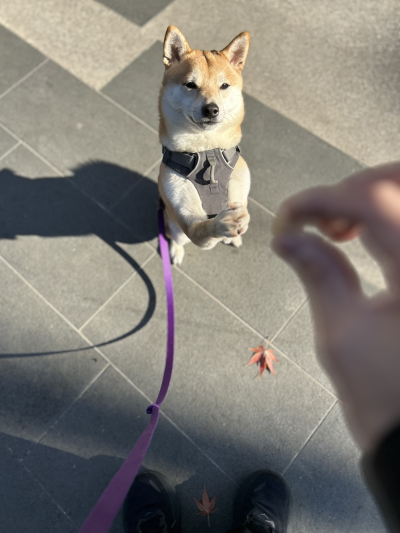 5680