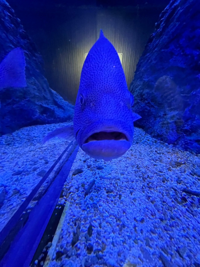 5948