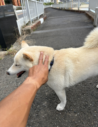 亜呂