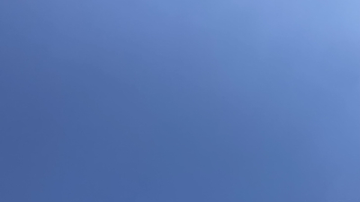 6241