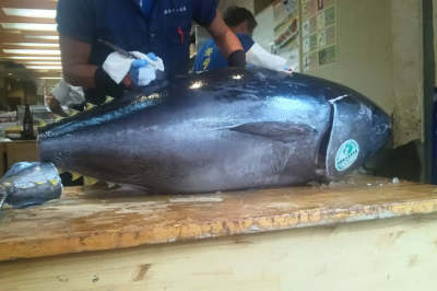 6372