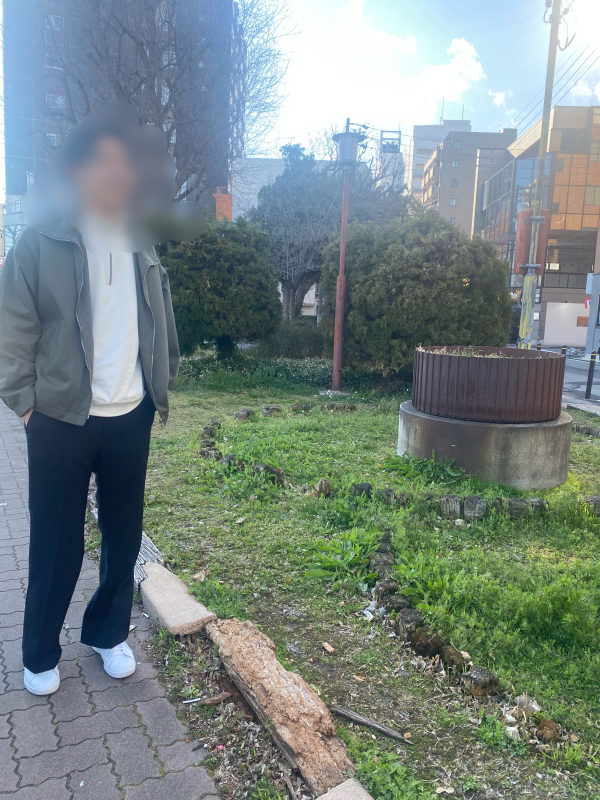 ヒイラギ