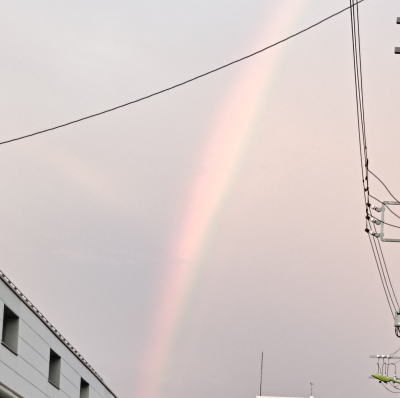 浅葱