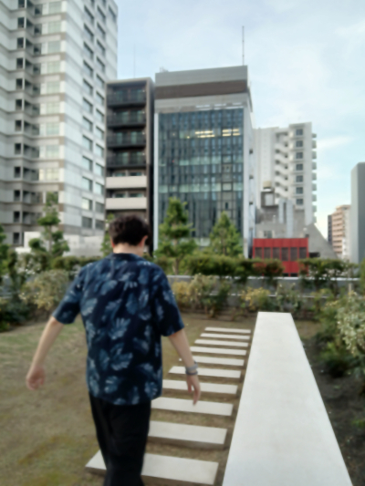 夏生