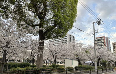 修司