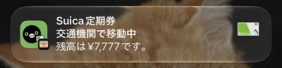 なつめ