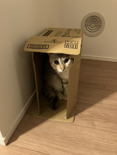 7720