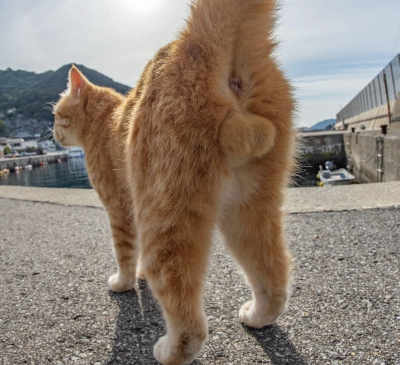 7735