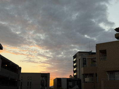 タカ