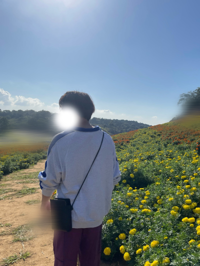 7799