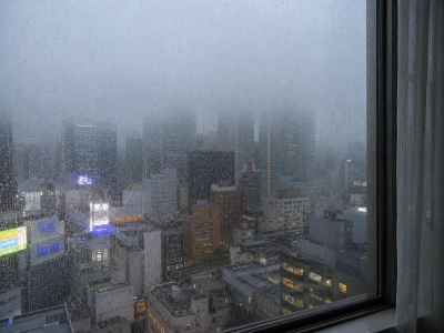 ツバメ
