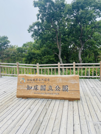 蒼太