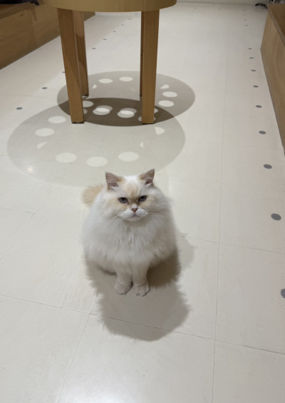佐藤