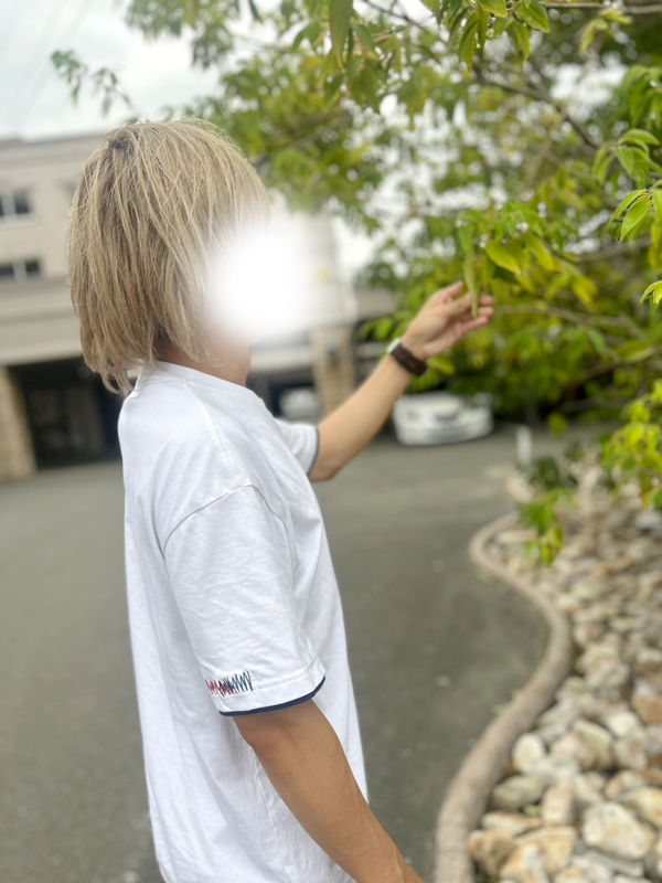 廉